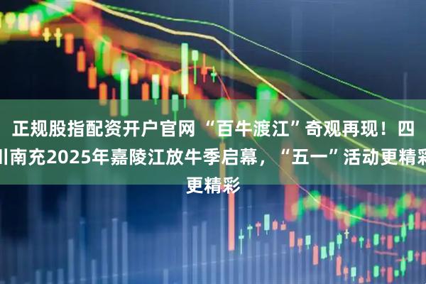 正规股指配资开户官网 “百牛渡江”奇观再现！四川南充2025年嘉陵江放牛季启幕，“五一”活动更精彩