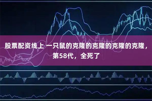 股票配资线上 一只鼠的克隆的克隆的克隆的克隆，第58代，全死了